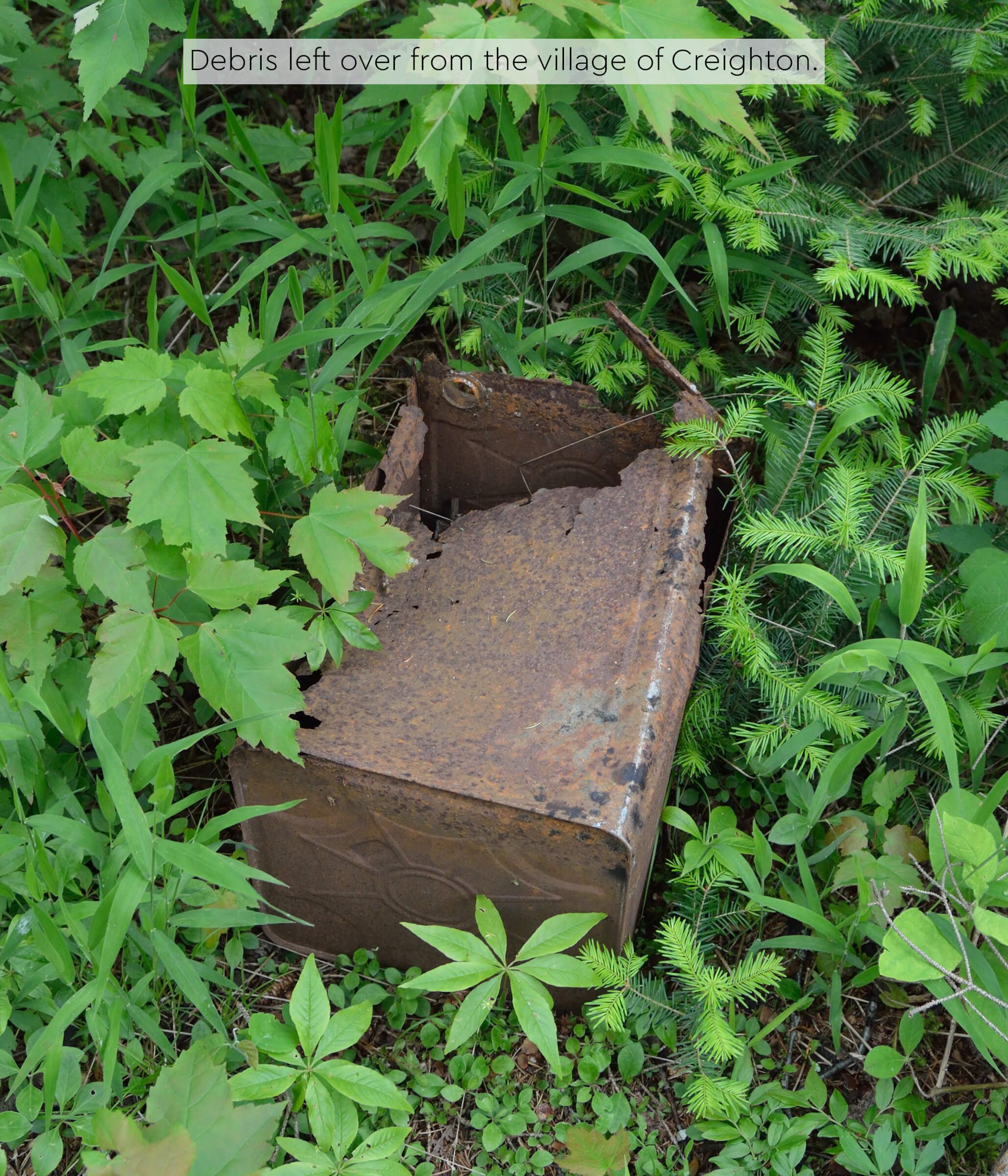 A rusted, broken metal container among overgrown plants in Creighton.